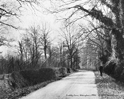 Picture of Berks - Wokingham, Luckley Lane c1900s - N1747