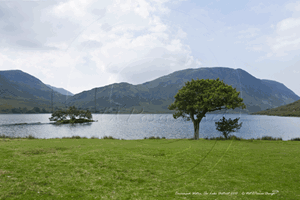 Picture of Cumbria - Crummock Water 2010 - N1870