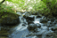 Picture of Cumbria - High Force, The Lakes 2010 - N1876