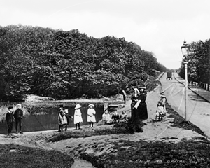 Picture of Essex - Loughton, Reservoir Pond c1910s - N1606