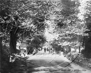 The Avenue in Ravenscourt Park in West London c1910s