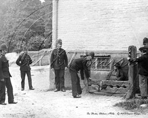 Picture of Hants - Odiham, The Stocks c1900s - N466