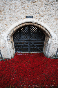Traitors' Gate at St Thomas's Tower in the Tower of London on Remembrance Day 2014, with the Tower Poppies