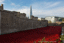 Remembrance Day with the Tower Poppies at The Tower of London in London November 2014