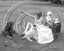 Picture of Misc - Kids, Girl and her Dog c1930s - N205