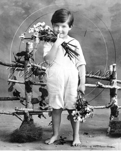 Picture of Misc - Kids, Boy with Flowers c1910s - N1486