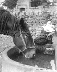 Picture of Misc - Animals, Horse and Boy c1930s - N757