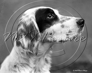 Picture of Misc - Animals, Dog c1930s - N793