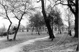 Picture of Surrey - Shirley, Spring Park c1950s - N3494