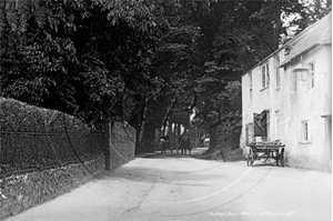 Picture of Devon - Chudleigh c1900s - N3556