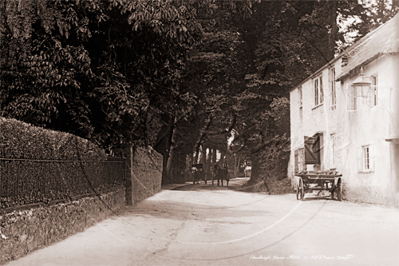 Picture of Devon - Chudleigh c1900s - N3556