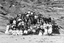 Picture of Cornwall - St Just, Day trippers from St Just c1900s - N3639