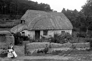 Thatched House in Dorset c1900s