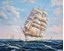 Picture of Seascapes - Sailing Clipper Scene - O034