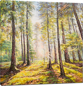 Picture of Landscapes - Forest and Trees - O029