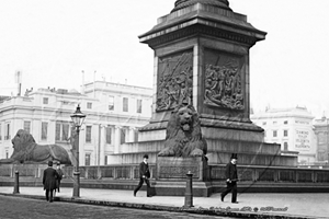 Picture of London - Trafalgar Square, with Landseers Lions c1890s - N4315