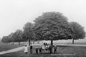 Picture of London, W - Ealing, Ealing Common c1900s - N4351