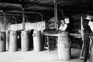 Cinnamon Workers, London Docks, The Thames in London c1900s