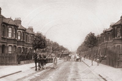 Shelley Avenue in East London c1900s