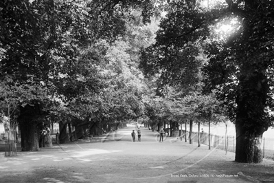 Picture of Oxon - Oxford, Broad Walk 11th August 1904 - N4725