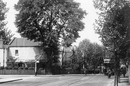 Picture of London, SE - Camberwell, Grove Lane, Ruskins Elm c1920s - N4949