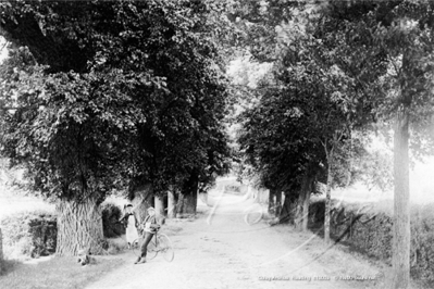Picture of Berks - Reading, Coley Avenue c1900s - N5091